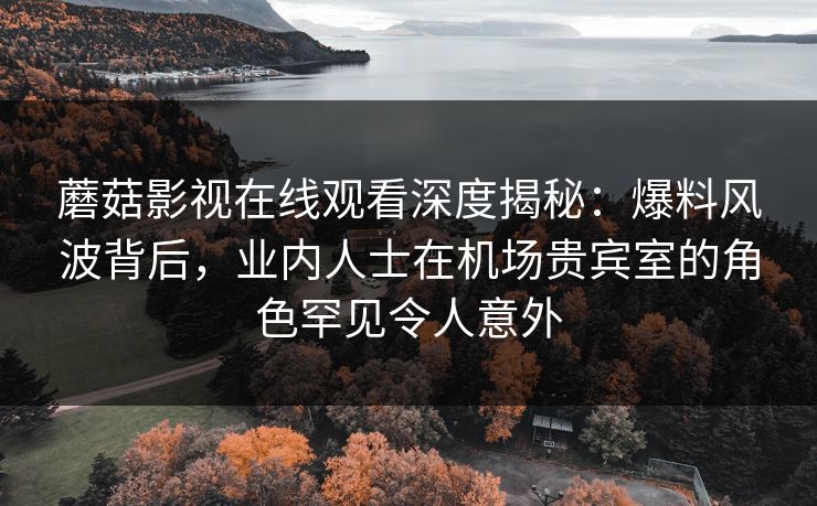 蘑菇影视在线观看深度揭秘：爆料风波背后，业内人士在机场贵宾室的角色罕见令人意外