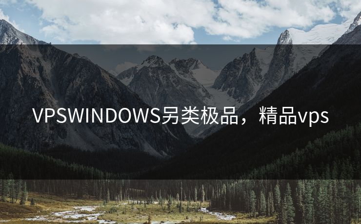 VPSWINDOWS另类极品，精品vps