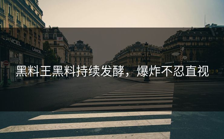 黑料王黑料持续发酵，爆炸不忍直视