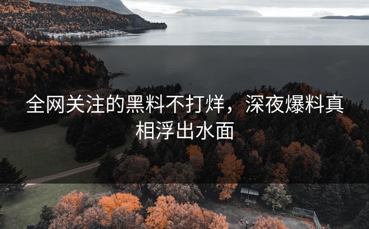 全网关注的黑料不打烊，深夜爆料真相浮出水面