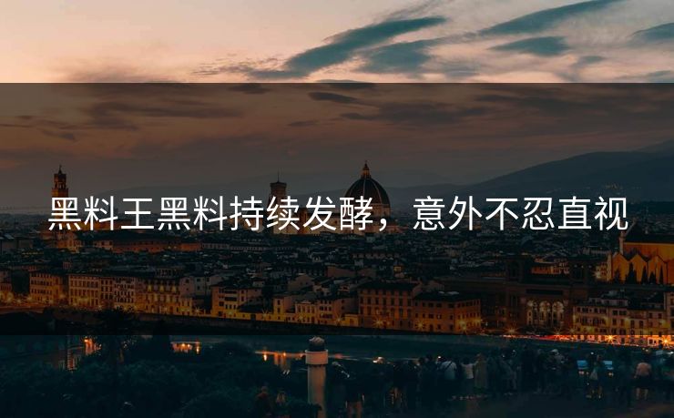 黑料王黑料持续发酵，意外不忍直视