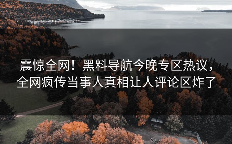 震惊全网！黑料导航今晚专区热议，全网疯传当事人真相让人评论区炸了