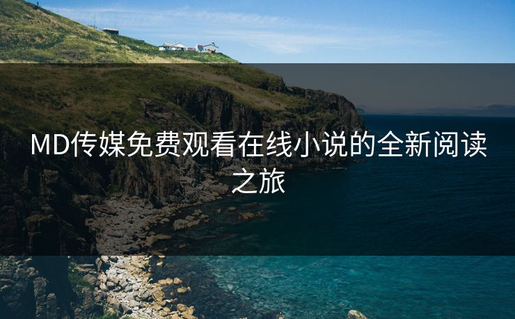 MD传媒免费观看在线小说的全新阅读之旅