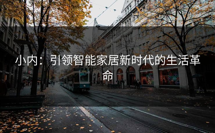 小内：引领智能家居新时代的生活革命