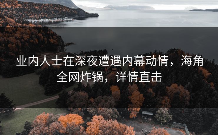 业内人士在深夜遭遇内幕动情，海角全网炸锅，详情直击