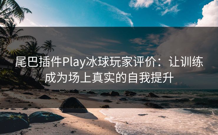 尾巴插件Play冰球玩家评价：让训练成为场上真实的自我提升