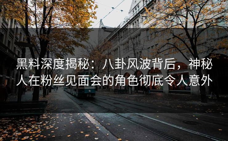 黑料深度揭秘：八卦风波背后，神秘人在粉丝见面会的角色彻底令人意外
