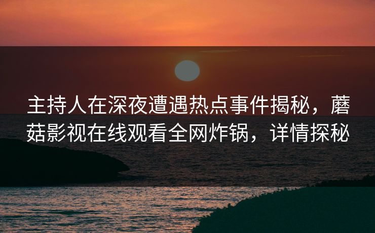 主持人在深夜遭遇热点事件揭秘，蘑菇影视在线观看全网炸锅，详情探秘